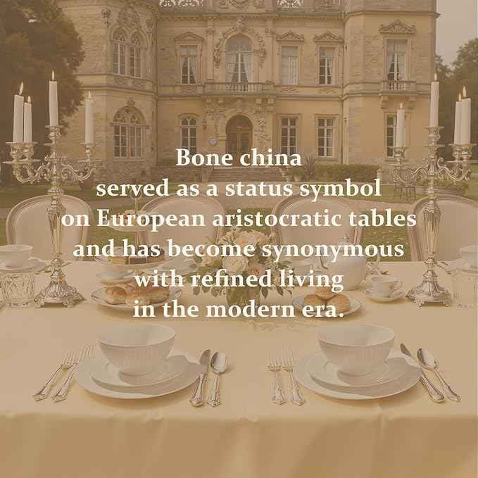 KINGSTONE Bone China Dinnerware Set, 18-Piece White Lightweight Porcelain with Textured Design Service for 6, Plates, Bowls, for Family Dining, Restaurants, Gifting,Microwave and Dishwasher Safe