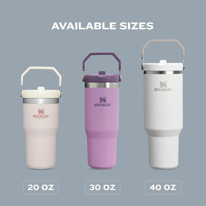STANLEY IceFlow 2.0 Flip Straw Tumbler with Handle 30 oz | Twist On Lid and Flip Up Straw | Leakproof Water Bottle | Insulated Stainless Steel | BPA-Free | Pink Mesa