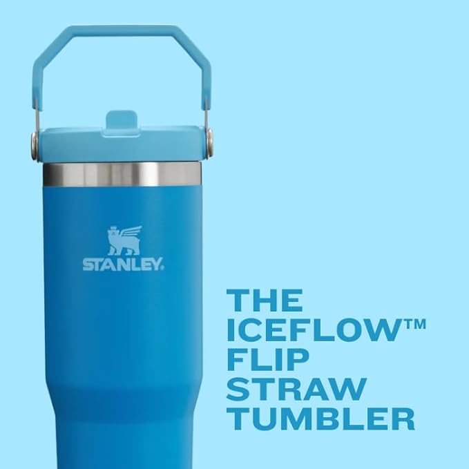 STANLEY IceFlow 2.0 Flip Straw Tumbler with Handle 20 oz | Twist On Lid and Flip Up Straw | Leakproof Water Bottle | Insulated Stainless Steel | BPA-Free | Chili Red