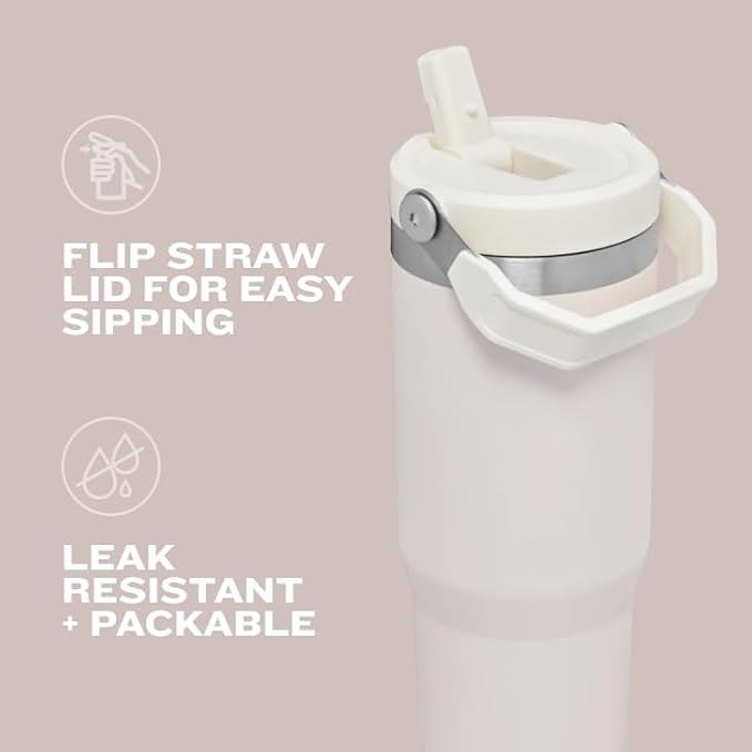 Stanley IceFlow 2.0 Flip Straw Tumbler with Handle 30 oz | Twist On Lid and Flip Up Straw | Leak Resistant Water Bottle | Insulated Stainless Steel | BPA-Free | Lilac