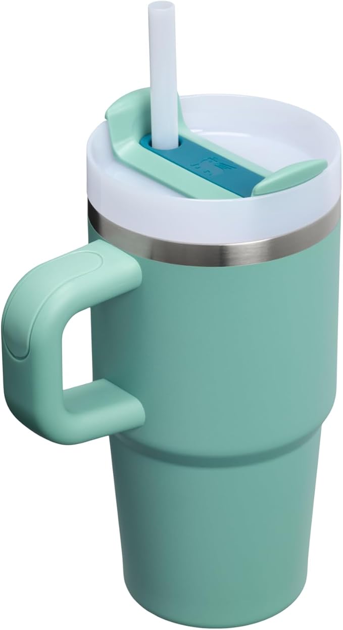 STANLEY Quencher H2.0 Tumbler with Handle and Straw 20 oz | Flowstate 3-Position Lid | Cup Holder Compatible for Travel | Insulated Stainless Steel Cup | BPA-Free | Spring Green