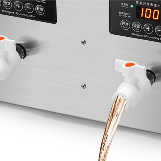 Auto-lift Commercial Pasta Cooker with Timer, Noodle Cooking Machine with 2 Drainage,Macaroni Vegetable Dumpling Cooker,Boiler For Spaghetti Ramen,Temperature Adjustable (4 holes)