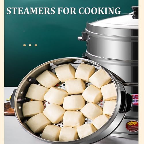 3-Tier Stainless Steel Electric Food Steamer - Automatic Heating & Static Control for Healthy Cooking - Ideal for Breakfast Meals & Meal Prep (220V)