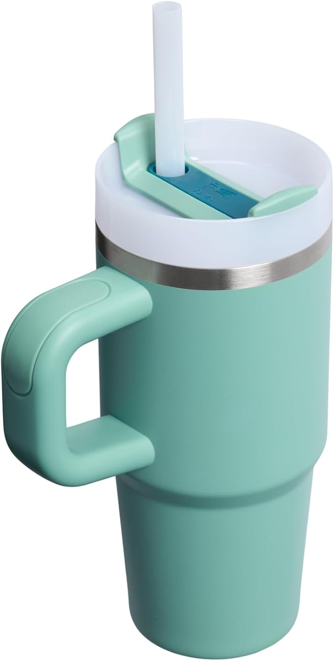 STANLEY Quencher H2.0 Tumbler with Handle and Straw 14 oz | Flowstate 3-Position Lid | Cup Holder Compatible for Travel | Insulated Stainless Steel Cup | BPA-Free | Spring Green