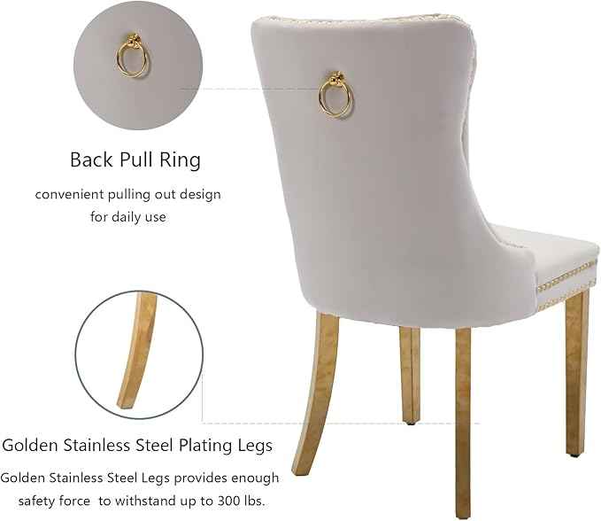 Beige Velvet Dining Chairs Set of 6, Upholstered Dining Room Chairs with Back Ring Pull Trim and Golden Stainless Steel Legs,Modern Kitchen Chairs for Dining Room,Living Room,Kitchen(Beige)