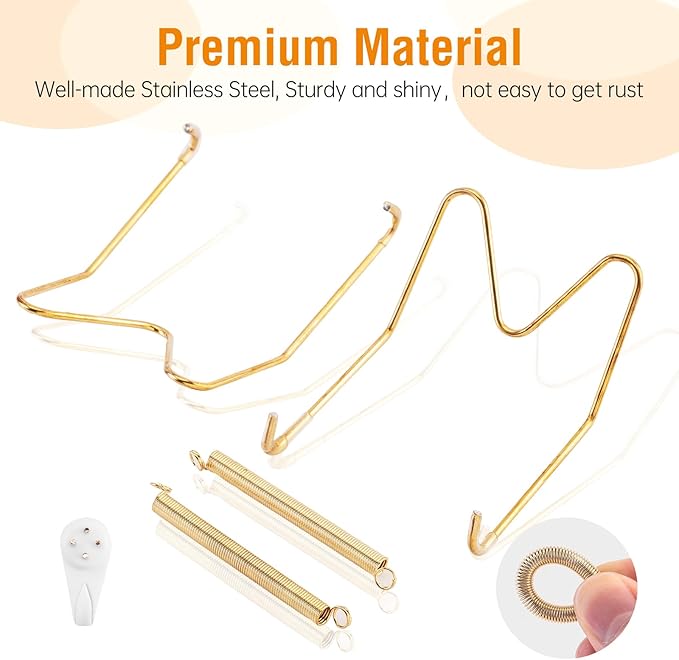 Bilillo 20 Pieces Stainless Steel Spring Plate Hangers for The Wall, 4/6/8/10 Inch Invisible Wire Holders with 20 Pcs Wall Hooks, Fit 4-11 Inch Decorative Plates, Platters & Dishes (Gold)