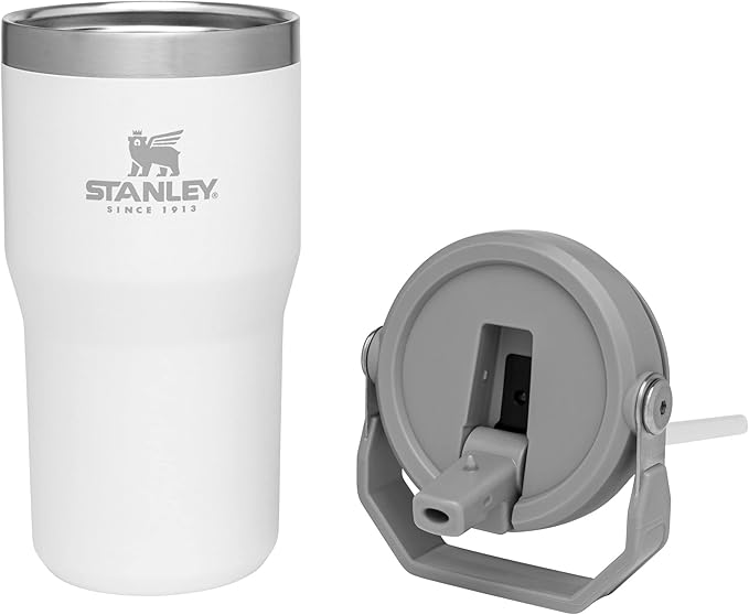 STANLEY IceFlow Flip Straw Tumbler with Handle 20 oz | Twist On Lid and Flip Up Straw | Leak Resistant Water Bottle | Insulated Stainless Steel |BPA-Free | Polar