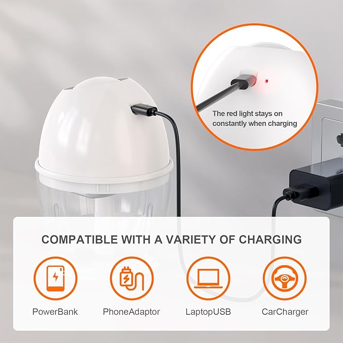 Portable Electric Garlic Chopper, 450ML Large Volume Cordless Mini Food Processor with USB Charging,304 Stainless Steel Sharp Blades,for Onion, Garlic, Ginger, Baby Food,Meat,Spices BPA-Free