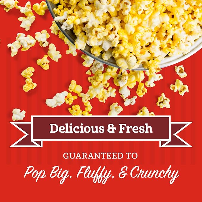 Franklin’s Gourmet Popcorn All-In-One Popcorn Packs for Popcorn Machine - 8oz Pack of 10 - Made in USA - Packs of Corn Kernels with Buttery Salt & Oil