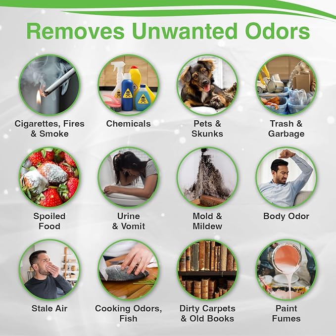 Biocide Systems Room Shocker Strong Odor Eliminator for Home & Office, Eco-Friendly Chlorine Dioxide Odor Bomb for House Interior Up to 400 Square Feet of Floor Space (Single Pack)