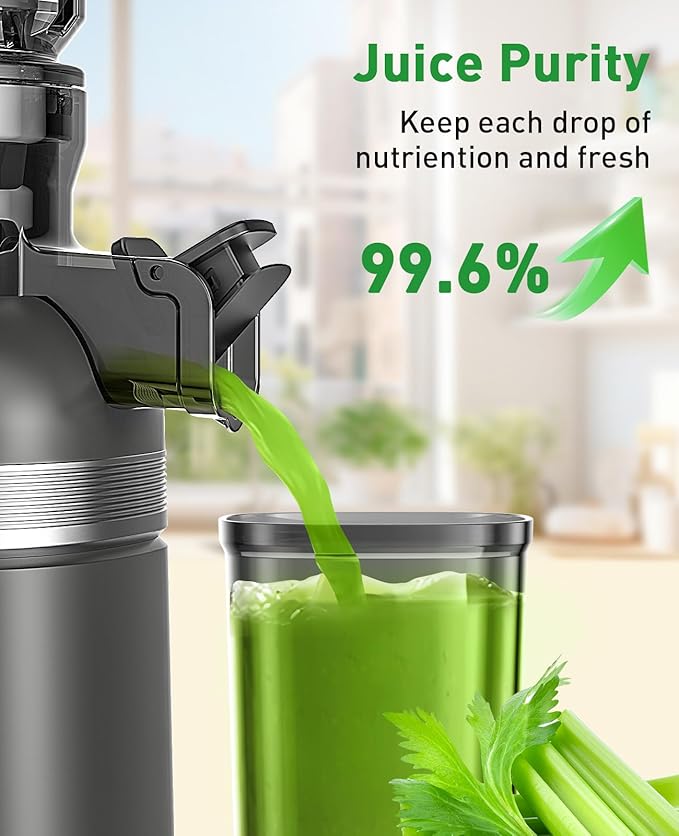 GlowWise Cold Press Juicer Machines for Whole Vegetables & Fruits, Slow Masticating Juicer Maker with Wide Feed Chute, High Juice Yield, Easy to Clean, Gray