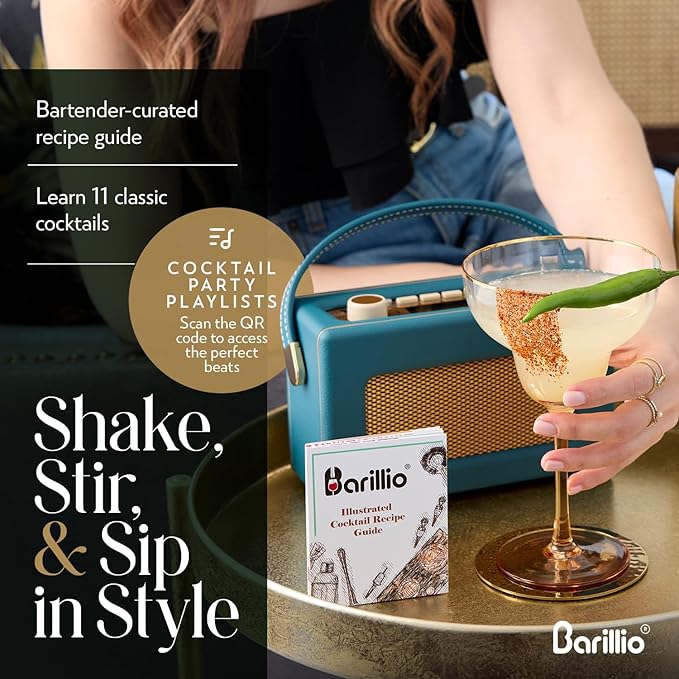Barillio Silver Bartender Kit - Stainless-Steel Cocktail Shaker Set w/Black Bamboo Stand - Mixology Bar Tools w/Drink Shaker, Mixer & Muddler for Cocktails - Home Bar Accessories - 23-Pc Bar Set