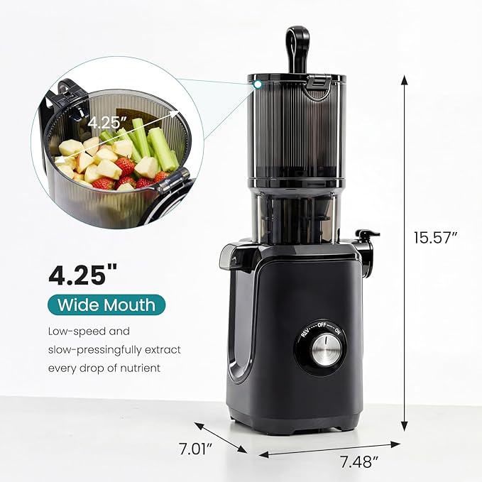 OLIXIS Cold Press Juicer, Masticating Juicer Machine with Reverse Function, Juice Extractor for Making Nut Milk, Easy Clean & Blade-Free, Black