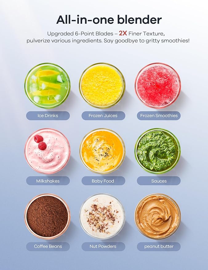 Ganiza GB08 Smoothie Blender and 6 in 1 Hand Blneder