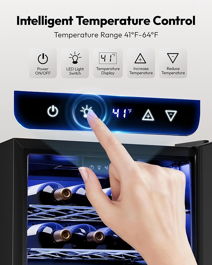 EUHOMY 25 bottle Wine Cooler Refrigerator, Freestanding Compressor Wine Fridge with Adjustable Temperature and Digital Control, Mini Fridge with Glass Door for Red White Wine, Beer, Silver