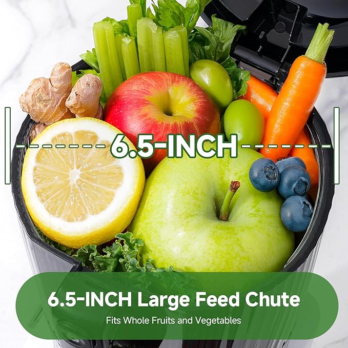 Cold Press Juicer, 3-in-1 Juicer Machines with 6.5" Large Feed Chute for Whole Fruits & Vegetables, 100oz Large Capacity for Family Use, Makes Juice, Nut Milk & Sorbet